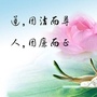 廉洁炉霍ico