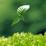 山东省环科院生态环境修复中心公众号ico