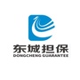 柳州东城担保ico