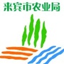 来宾市农业局ico