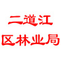 二道江区林业局ico