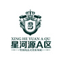 星河源ico