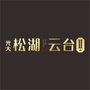 光大松湖云台ico
