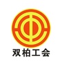 双柏工会ico
