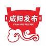 咸阳发布ico