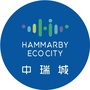 烟台中瑞城ico
