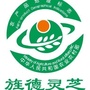 旌德灵芝健康小镇ico