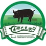 玉都巴黑猪ico