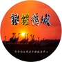 银耀鹤城ico