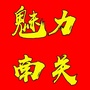 魅力南关ico