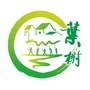 绿色叶榭ico