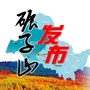聚焦碾子山ico