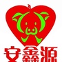 济宁安鑫ico