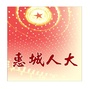 惠城人大ico