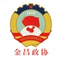 金昌政协ico