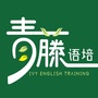 青藤语培ico