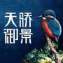 肇庆天骄御景ico