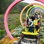 桂风起合山ico
