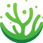 微信珊瑚安全ico
