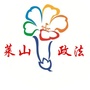 莱山政法ico
