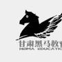 甘肃黑马教育ico