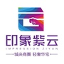 印象紫云ico