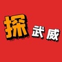 探武威公众号ico