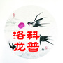 科普洛龙ico
