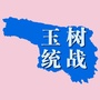 玉树统战ico