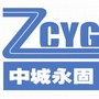 中城永固科技ico