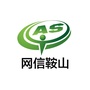网信鞍山ico