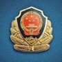 兴安盟森林公安局白狼分局ico