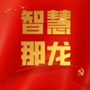 智慧那坡那龙村ico