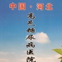 高邑恒民医院ico