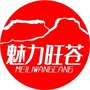 魅力旺苍ico