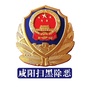 咸阳扫黑除恶ico