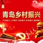 青岛乡村振兴ico