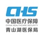 青山湖医保ico