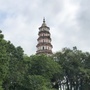 桂城网公众号ico