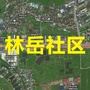 桂城林岳社区ico