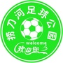 捞刀河足球体育公园公众号ico