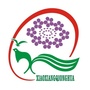 康宁文化ico