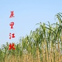 蔗里江北ico
