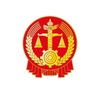 安阳市殷都区人民法院执行局ico