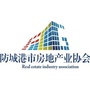 防城港房协ico