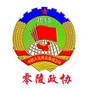 零陵政协ico
