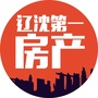 辽沈第一房产ico