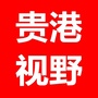 贵港视野ico