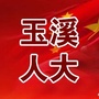 玉溪人大ico