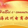 海北电商办ico